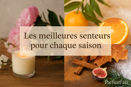 Les meilleures senteurs pour chaque saison : une ambiance olfactive tout au long de l’année