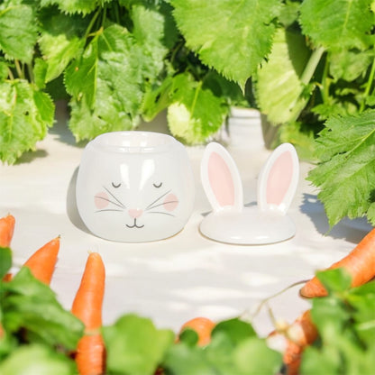 Brûleur p’tit lapinou