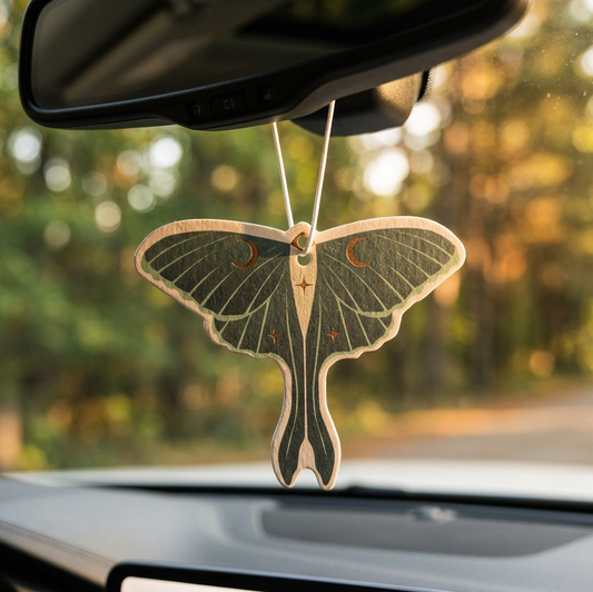 Diffuseur Dark forest Moth